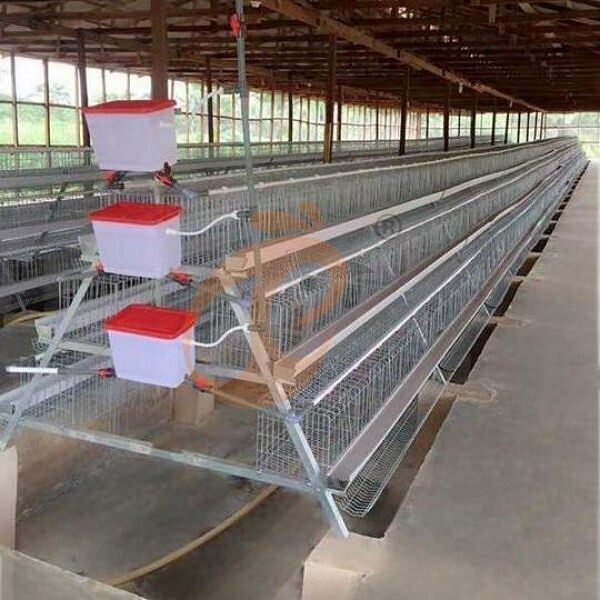 poultry farm layer chicken cage (2).jpg