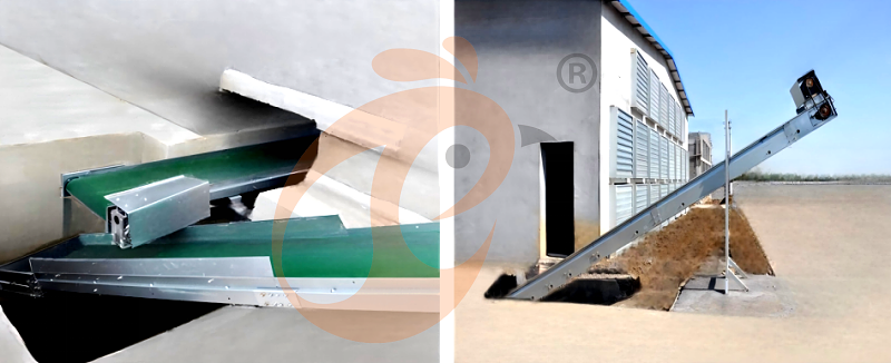 layer chicken cage H (3).png