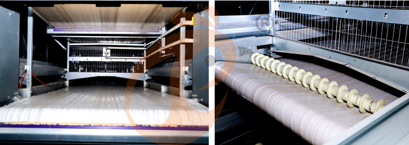 layer chicken cage H (14).png
