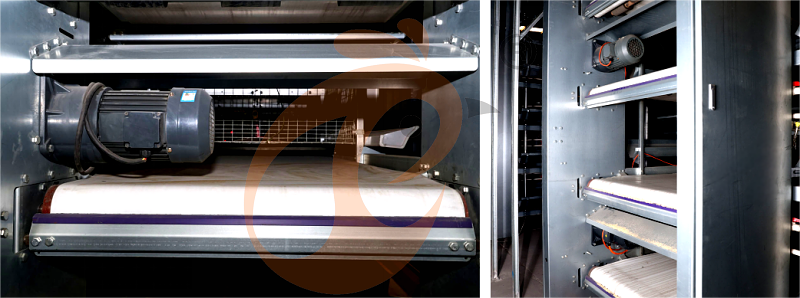 layer chicken cage H (15).png