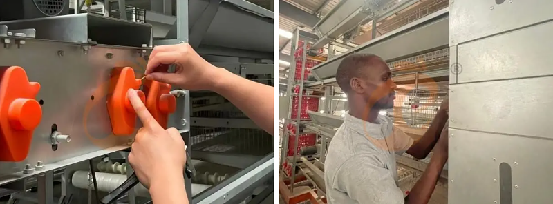 battery cage poultry equipment (1)