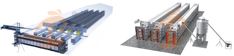 battery cage poultry equipment (5)