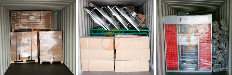 battery cage poultry equipment (9)