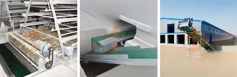 battery cage system (5)