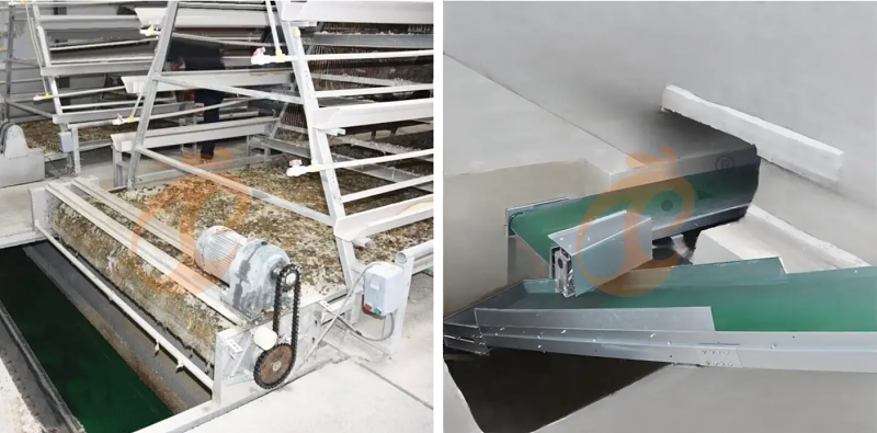 layer battery cage (4)