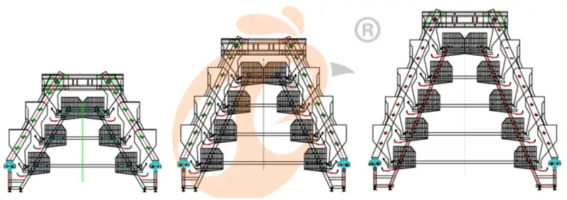 layer battery cage (9)