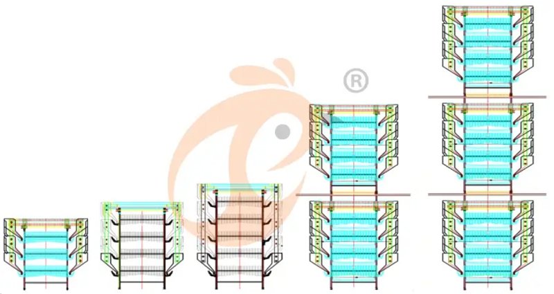 H type chick battery cage (9)