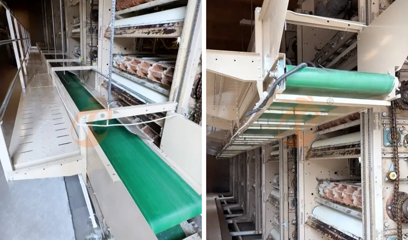 broiler battery cage (6)