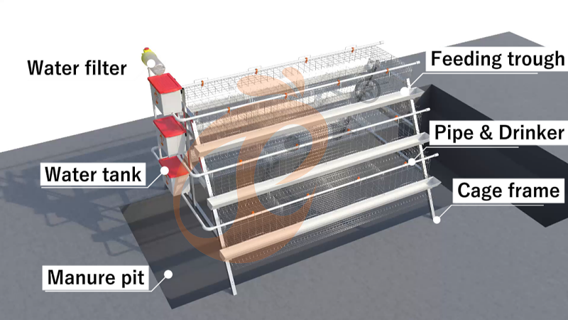 A Type 3 tiers 96 layer battery cage system (1)
