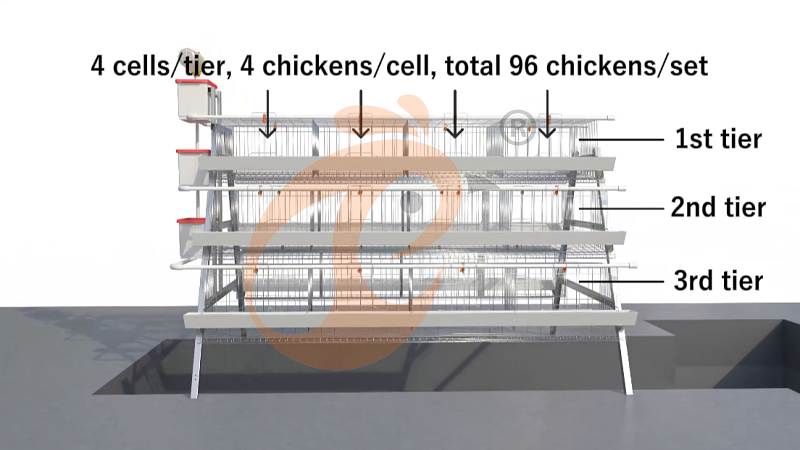 A Type 3 tiers 96 layer battery cage system (2)