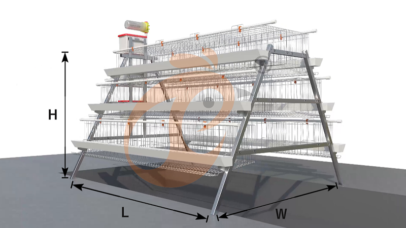 A Type 3 tiers 96 layer battery cage system (3)