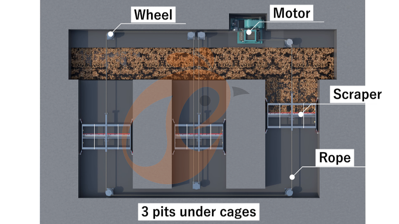 A Type 3 tiers 96 layer battery cage system and manure cleaning (6)