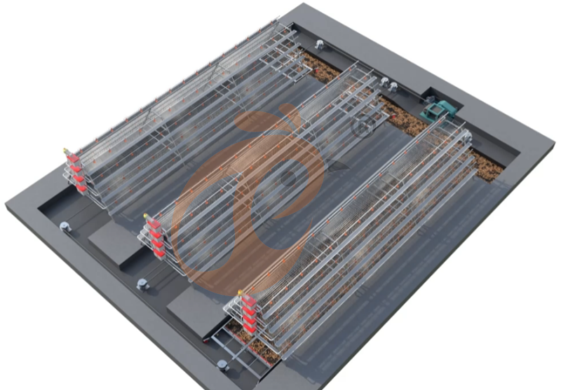 A Type 3 tiers 96 layer battery cage system and manure cleaning (7)