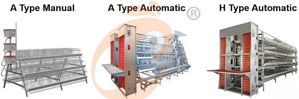 A Type layer battery cage system (1)