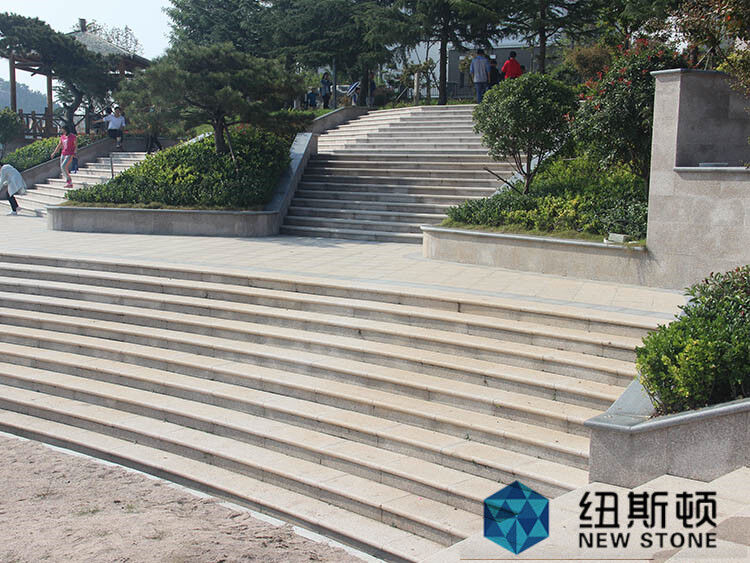 如何判断五莲花的质量