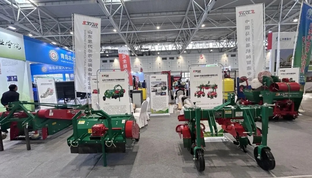 2.webp.jpg 2.webp.jpg