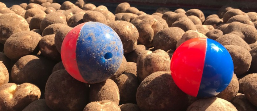 微信图片_20250701171348 微信图片_20250701171348