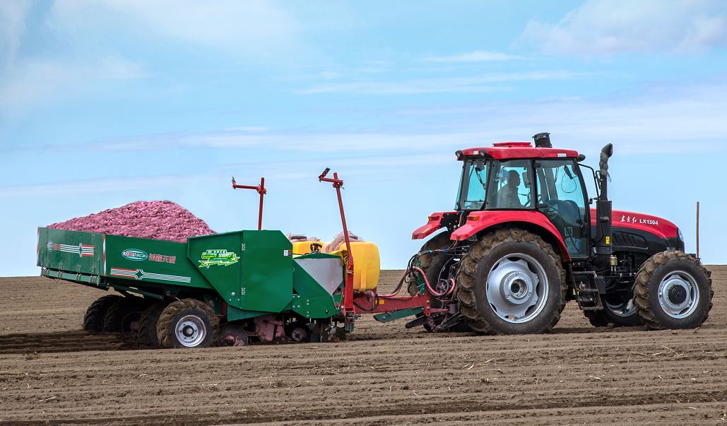 大型马铃薯种植机