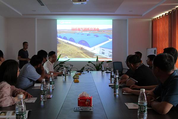 凝心聚力，共谋马铃薯产业发展