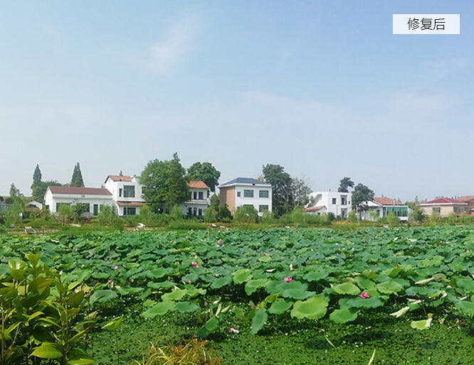 南縣沱江農(nóng)業(yè)面源污染治理項(xiàng)目