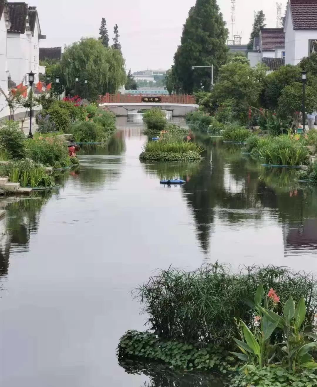 周市镇市北村美丽河湖水生态环境提升服务项目