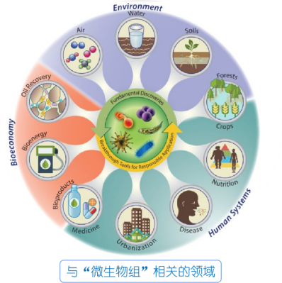 根際微生物（一）——碩亞環(huán)保水生態(tài)修復(fù)核心技術(shù)基礎(chǔ)