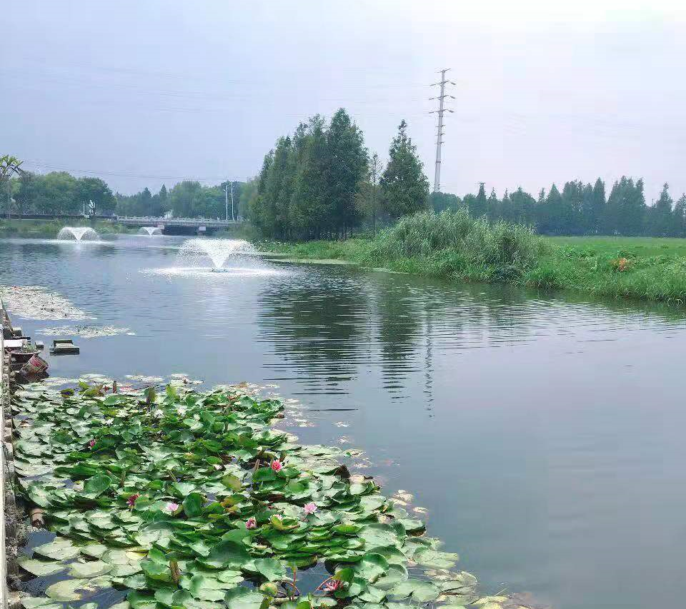 淀山湖鎮(zhèn)興復(fù)村西陽(yáng)村河水環(huán)境提升、體育公園西潭水環(huán)境提升項(xiàng)目
