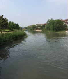 張家港市錦豐鎮(zhèn)錦陽(yáng)河生態(tài)修復(fù)項(xiàng)目