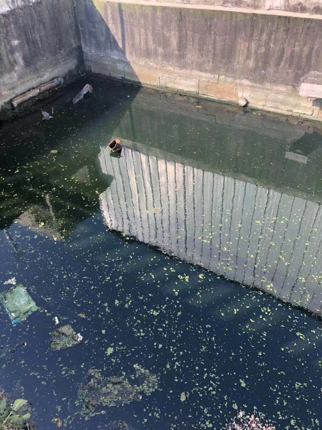 碩亞微科普|水體表觀不良原因淺析（一）——黑臭水體形成機(jī)理