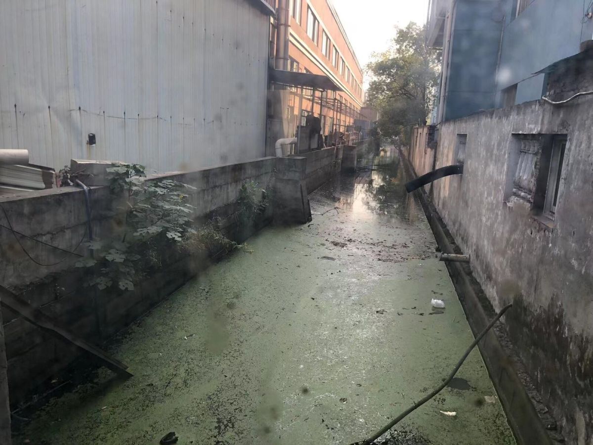 碩亞微科普|水體表觀不良原因淺析(二)——富營養(yǎng)化典型表觀污染現(xiàn)象 碩亞微科普|水體表觀不良原因淺析(二)——富營養(yǎng)化典型表觀污染現(xiàn)象