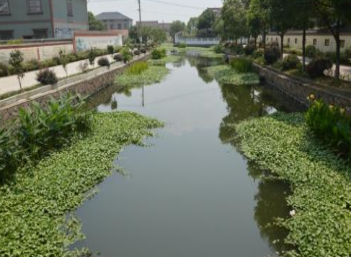 余姚東街直江水生態(tài)修復(fù)項目