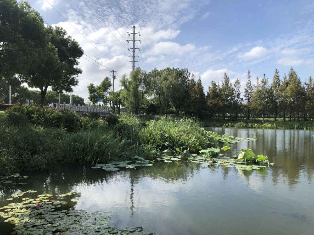 走出河湖生態(tài)修復(fù)過程中的誤區(qū)(一)-碩亞環(huán)保 走出河湖生態(tài)修復(fù)過程中的誤區(qū)(一)-碩亞環(huán)保