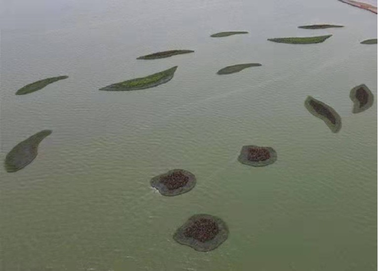 纖維浮島濕地-碩亞環(huán)保