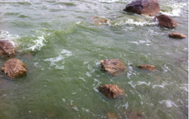 藍(lán)藻治理-云南滇池