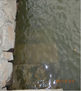 省試點—余姚大沽塘江治理項目