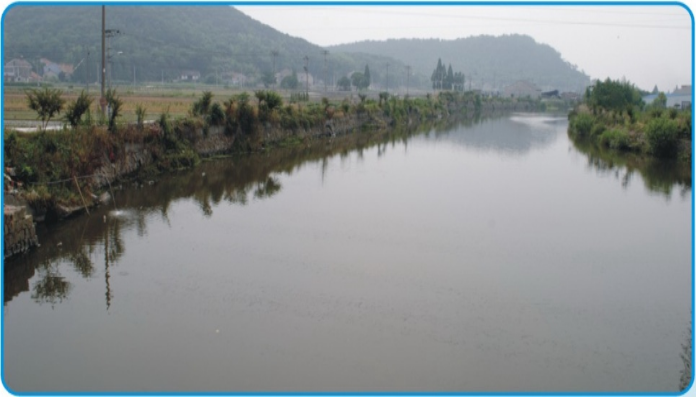 余姚西江水生態(tài)治理項(xiàng)目