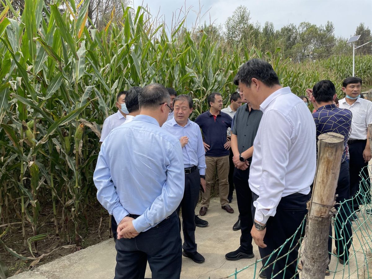 生態(tài)環(huán)境部土壤生態(tài)環(huán)境司司長(zhǎng)蘇克敬等領(lǐng)導(dǎo)蒞臨隆化縣視察碩亞環(huán)保項(xiàng)目 生態(tài)環(huán)境部土壤生態(tài)環(huán)境司司長(zhǎng)蘇克敬等領(lǐng)導(dǎo)蒞臨隆化縣視察碩亞環(huán)保項(xiàng)目