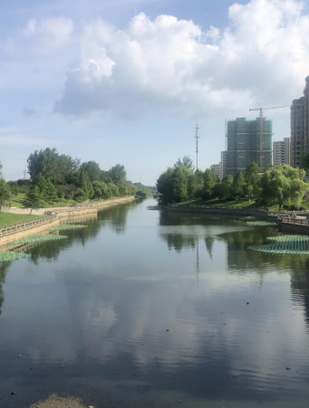 江蘇省宿遷市泗陽縣泗塘河水生態(tài)治理項(xiàng)目
