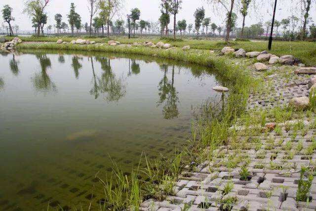 碩亞微科普|城市生態(tài)駁岸（一）-蘇州碩亞環(huán)保