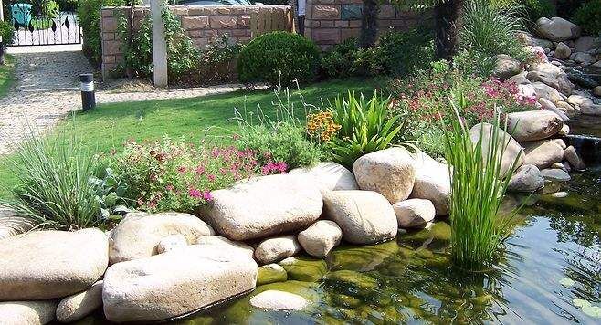 碩亞微科普|城市生態(tài)駁岸（二）