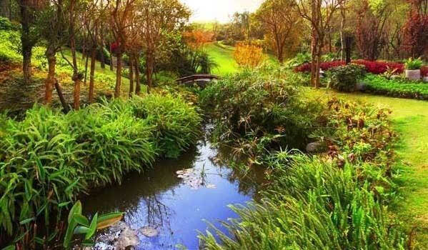 碩亞微科普|城市生態(tài)駁岸（三）——生態(tài)駁岸的作用