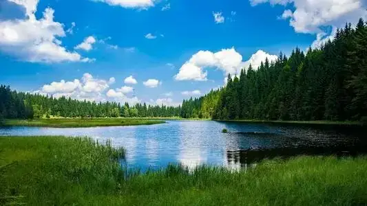绿水青山.webp.jpg