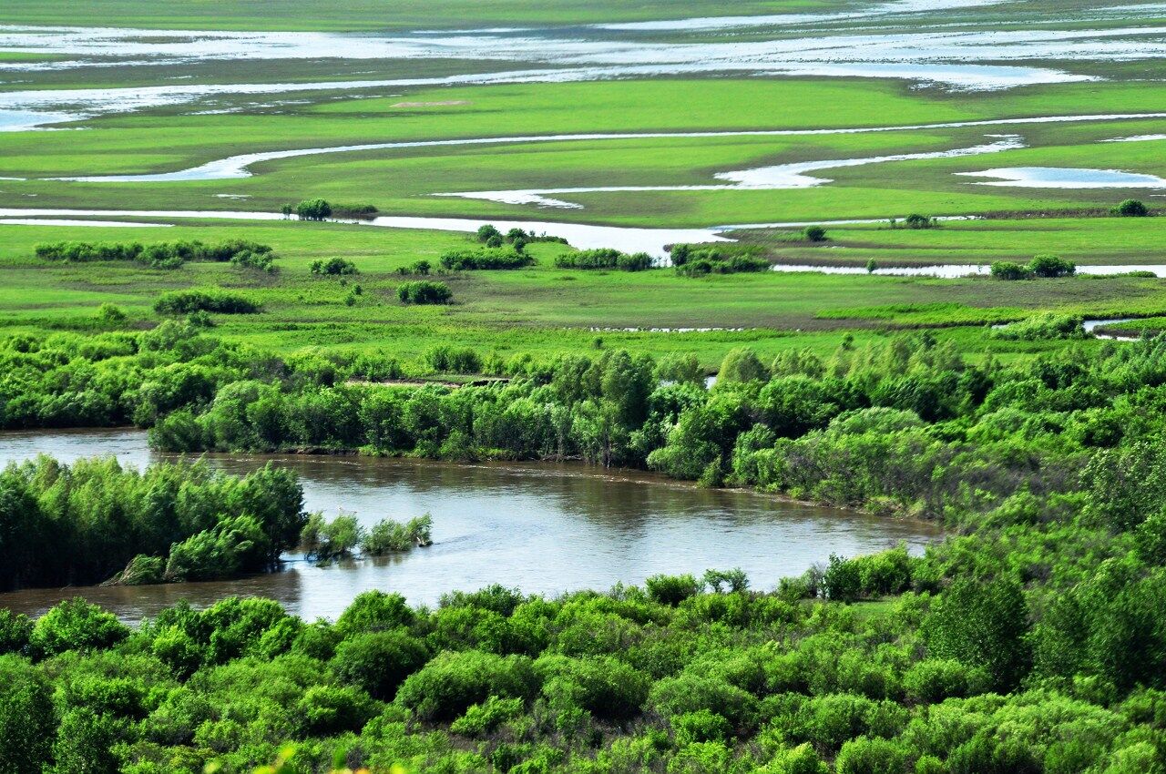 碩亞微科普|濕地生態(tài)系統(tǒng)的類型