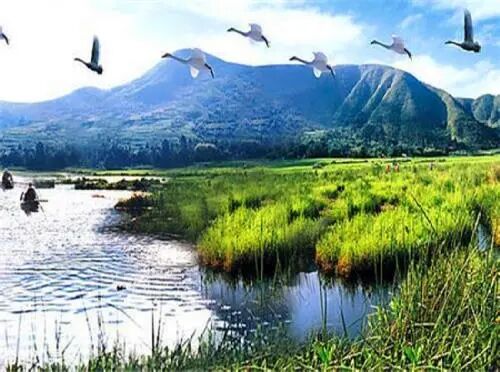 碩亞微科普|人工濕地總述（二）