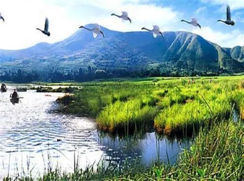 碩亞微科普|人工濕地總述（二）-碩亞環(huán)保