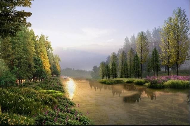 碩亞微科普|河道綠化景觀養(yǎng)護要點-碩亞環(huán)保
