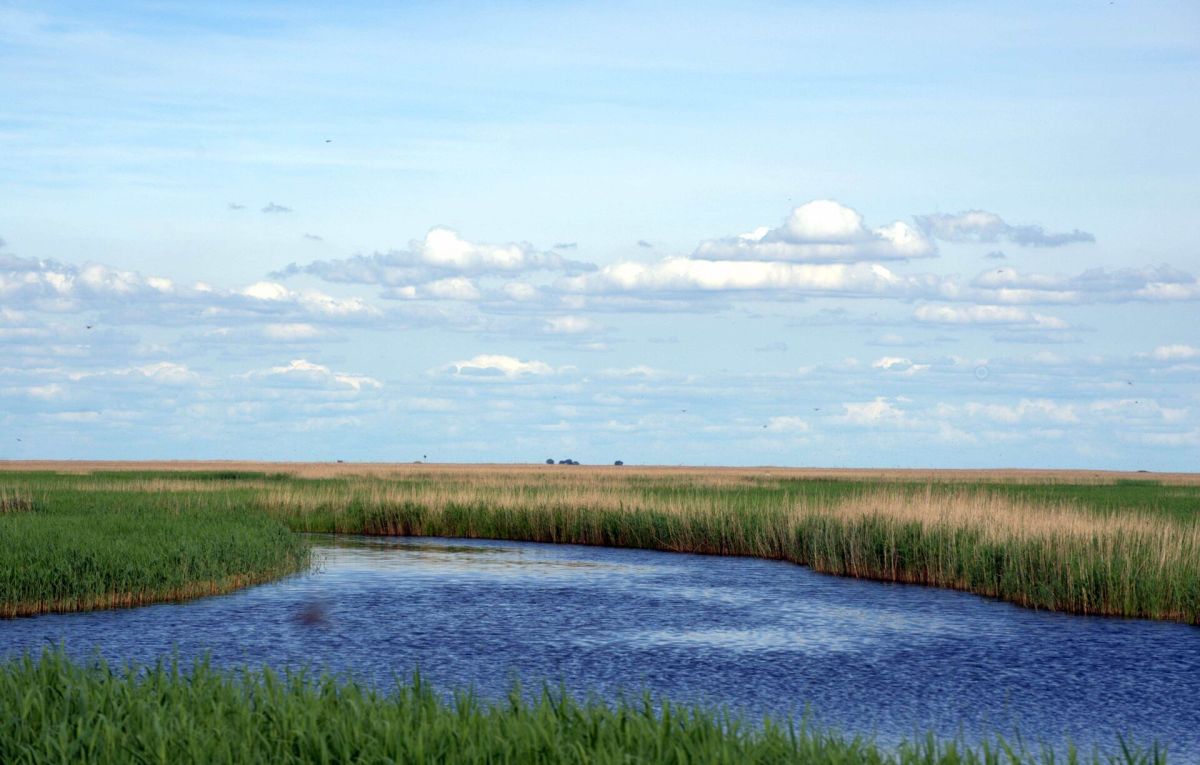濕地2.jpg