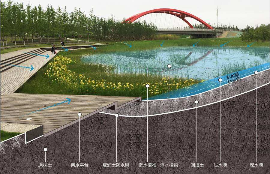 碩亞微科普|人工濕地技術(shù)