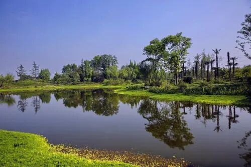 碩亞微科普|人工濕地分類及特點(diǎn)-碩亞環(huán)保