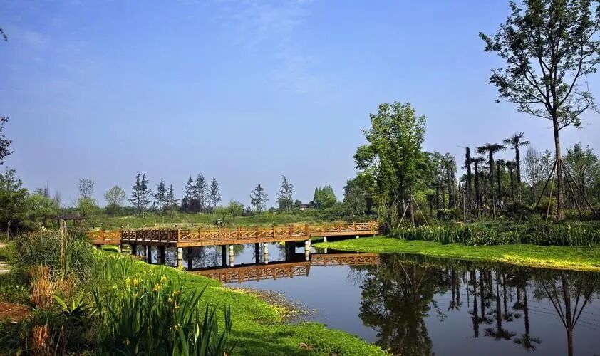 碩亞微科普|人工濕地的去污機(jī)制（二）